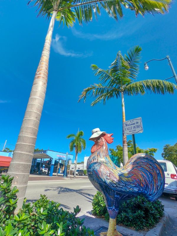 アメリカ(米国)・サンフランシスコ「201901 🇺🇸USA」の写真