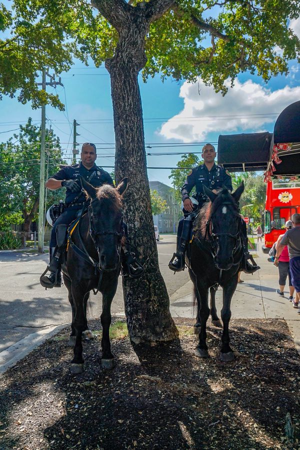 アメリカ(米国)・サンフランシスコ「201901 🇺🇸USA」の写真