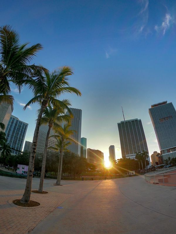 アメリカ(米国)・サンフランシスコ「201901 🇺🇸USA」の写真