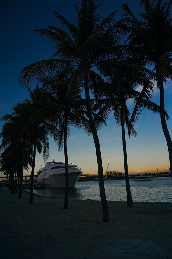 アメリカ(米国)・サンフランシスコ「201901 🇺🇸USA」の写真