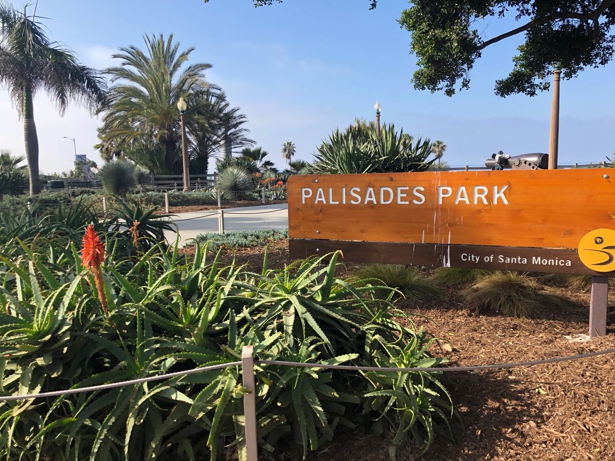 サンタモニカピア