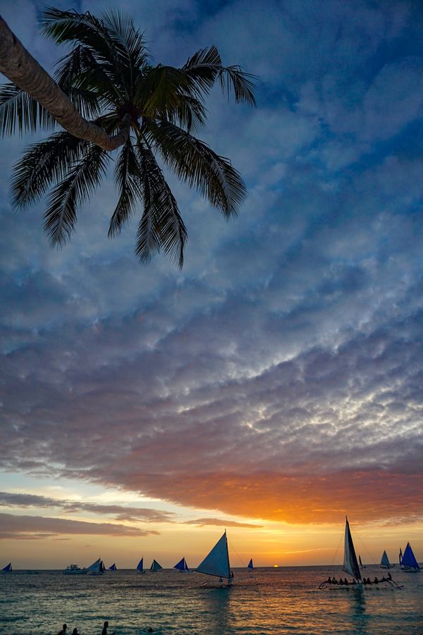 フィリピン・ボラカイ島「201903 🇵🇭Philippine」の写真