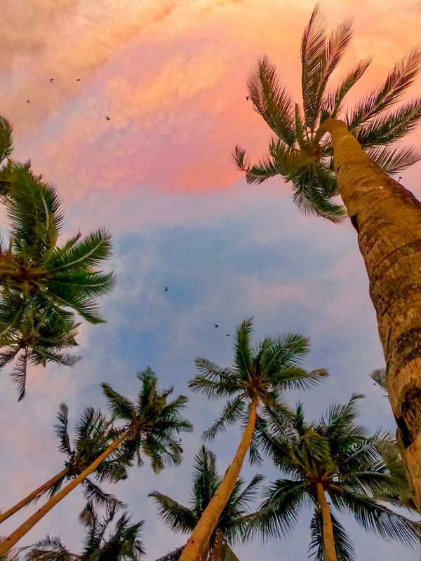 フィリピン・ボラカイ島「201903 🇵🇭Philippine」の写真