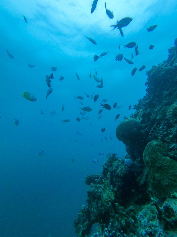 フィリピン・ボラカイ島「201903 🇵🇭Philippine」の写真