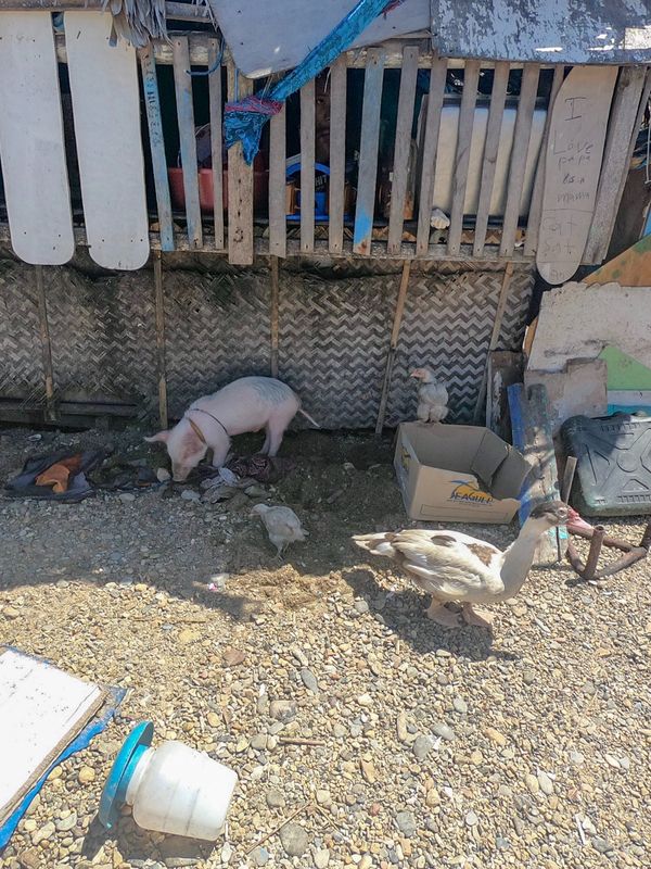 フィリピン・ボラカイ島「201903 🇵🇭Philippine」の写真