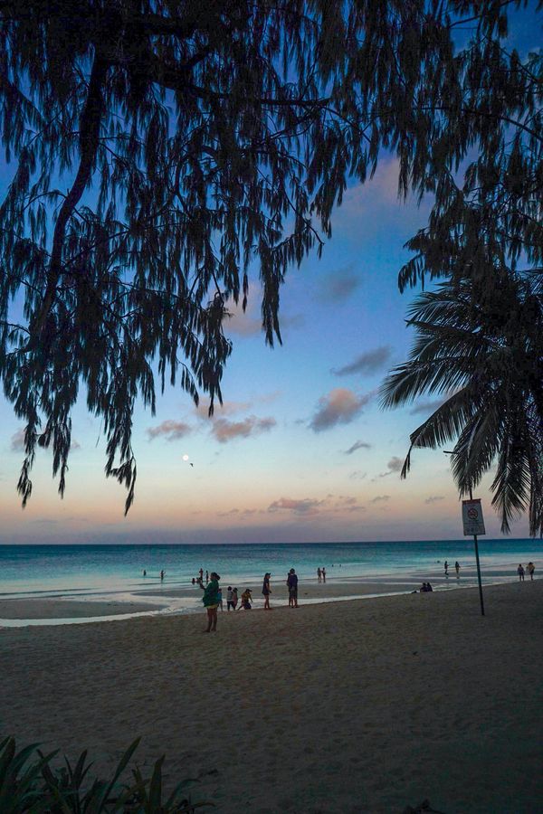 フィリピン・ボラカイ島「201903 🇵🇭Philippine」の写真