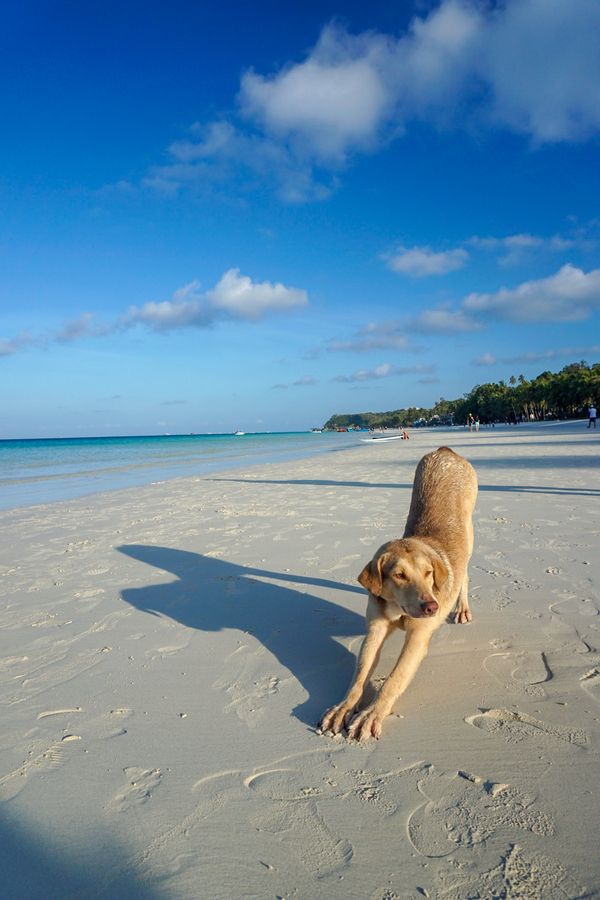 フィリピン・ボラカイ島「201903 🇵🇭Philippine」の写真