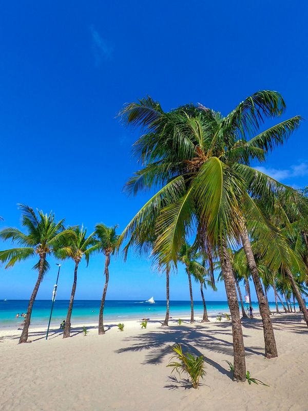 フィリピン・ボラカイ島「201903 🇵🇭Philippine」の写真