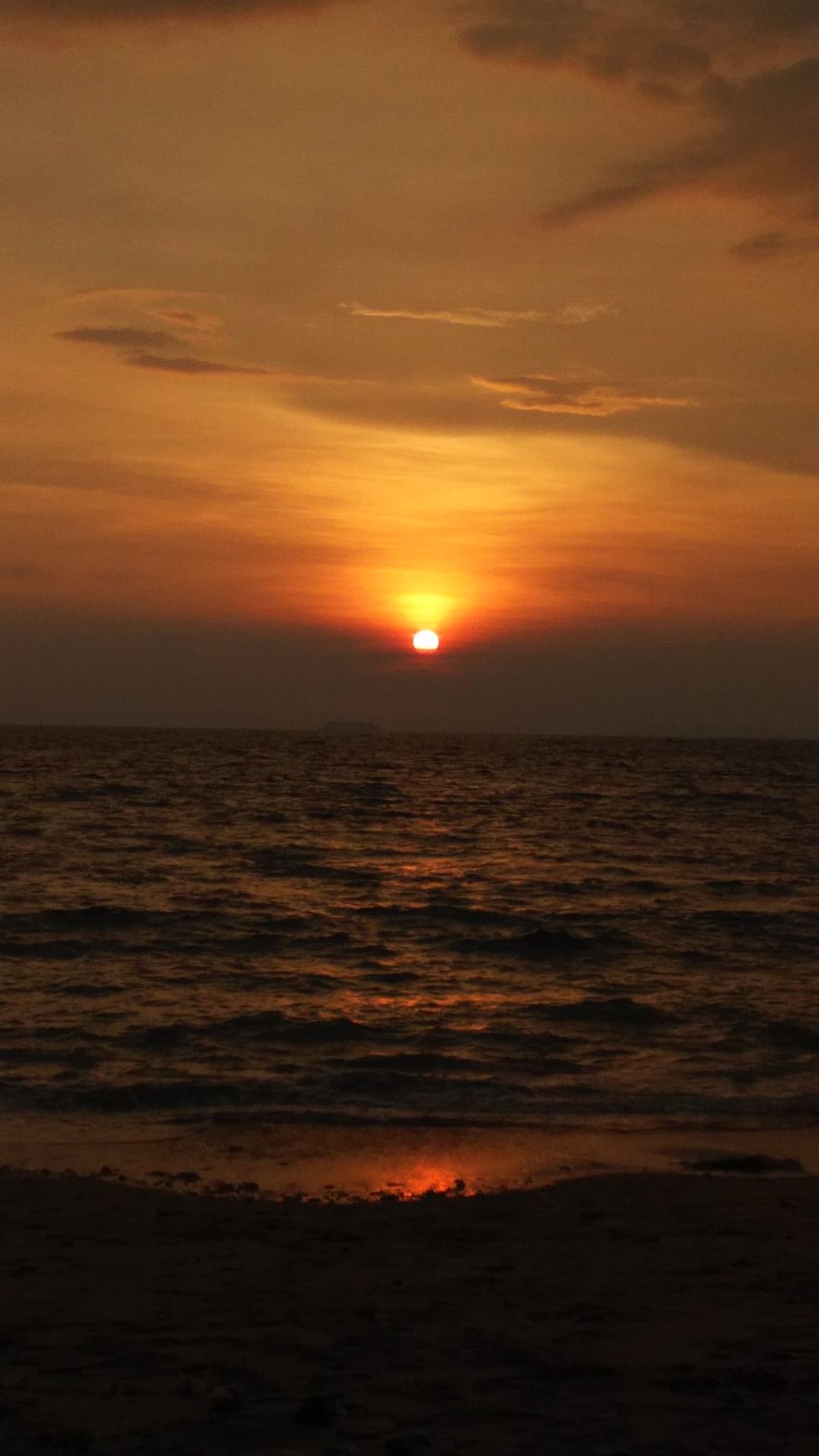 やっぱりサンセット
BeeBeeバンガロー