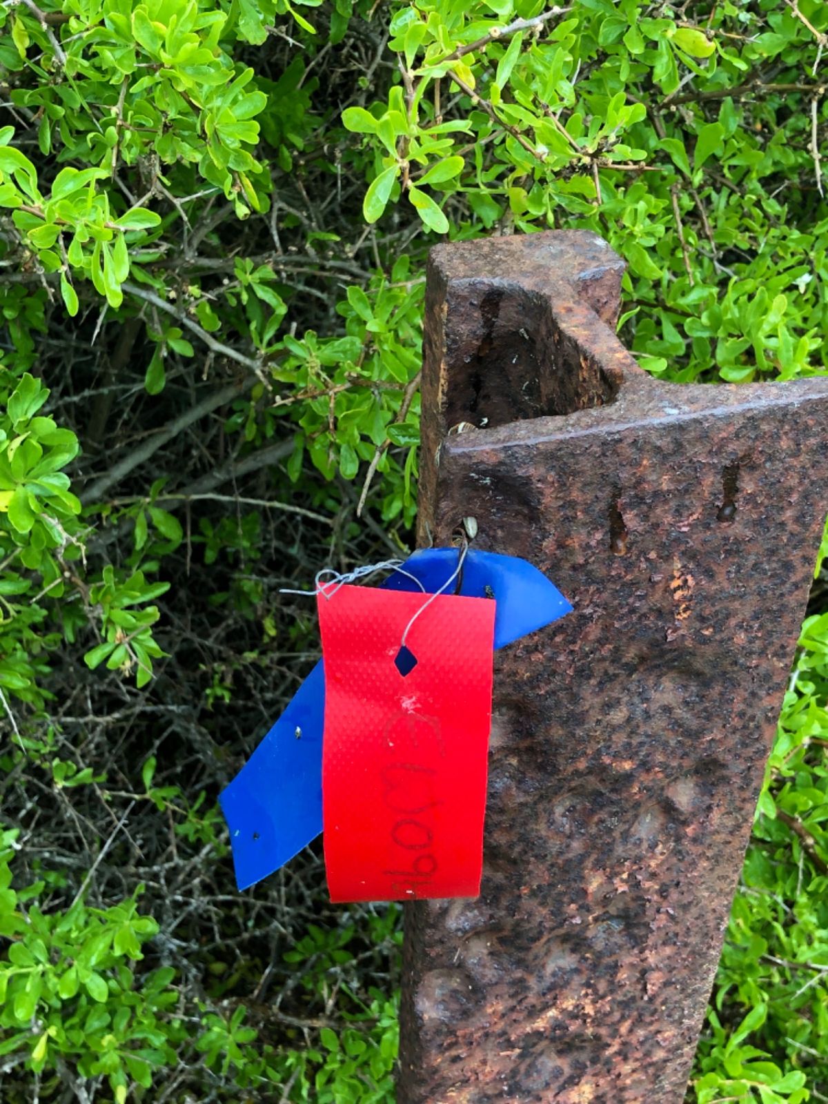 ペンギン達の巣の上の目印のタグは

赤はここに使われてるペンギンの巣がある...