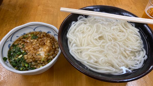 日本・宮崎市「宮崎」の写真：宮崎市はあちこち泊まりましたが駅前のJR...