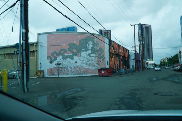 アメリカ(米国)・ハワイ「ハワイ」の写真：カカアコ　ウォールアート
レンタカーで行...