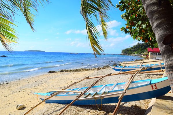 フィリピン・セブ島、ボホール島、オスロブ、マクタン島「セブ島旅行」の写真