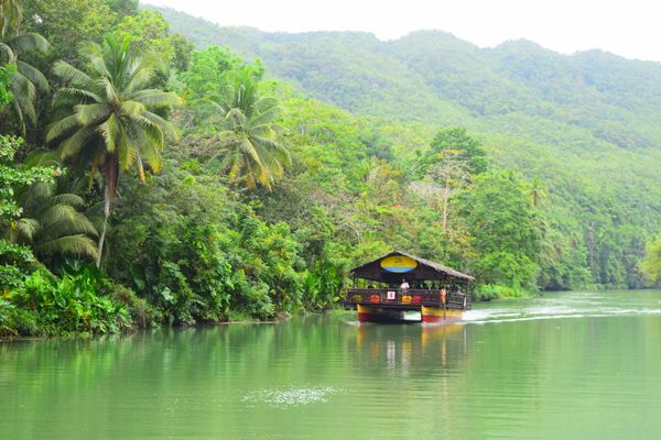 フィリピン・セブ島、ボホール島、オスロブ、マクタン島「セブ島旅行」の写真