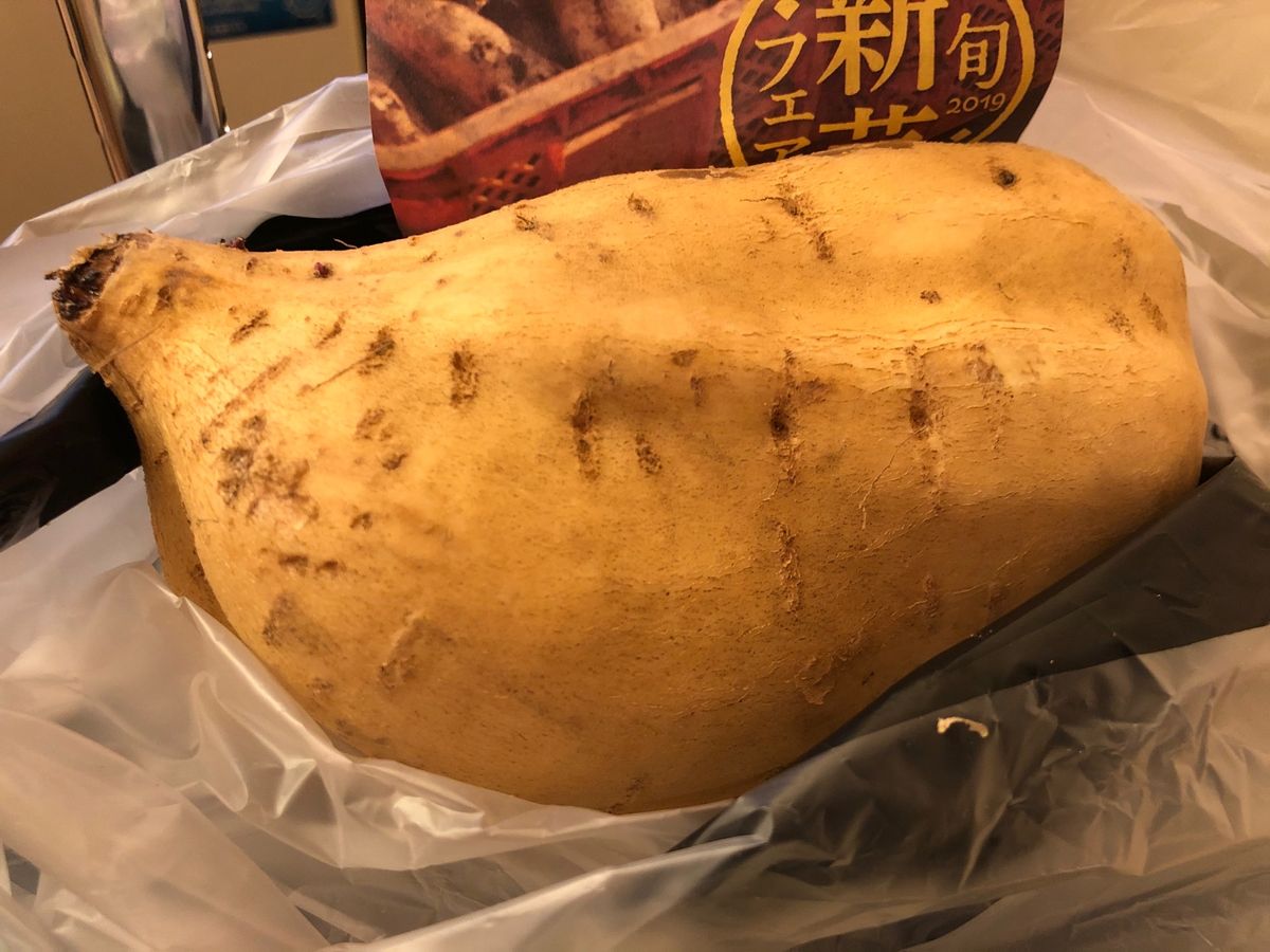 福岡　博多
①もつ鍋
②芋けんぴ専門店で何故かプレゼントされた生のサツマイ...