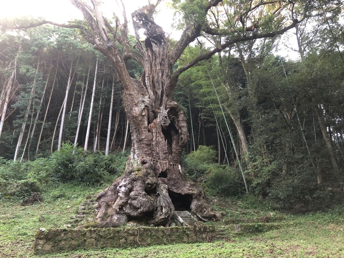 佐賀
①念願の佐賀牛🐄
②武雄温泉
③④武雄神社にて
凄く神秘的だった大楠🌳