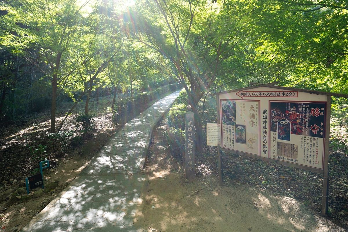 佐賀
①念願の佐賀牛🐄
②武雄温泉
③④武雄神社にて
凄く神秘的だった大楠🌳
