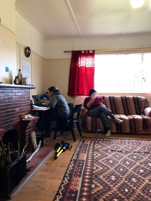 南アフリカ・ケープタウン「ペンギン調査に参加！」の写真：データの入力作業をしているところ
1人が...