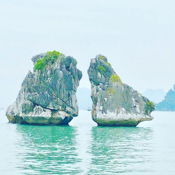 ベトナム・ハノイ「ベトナム ハノイ ハロン湾♡」の写真：世界遺産ハロン湾。幻想的で美しい。
本場...