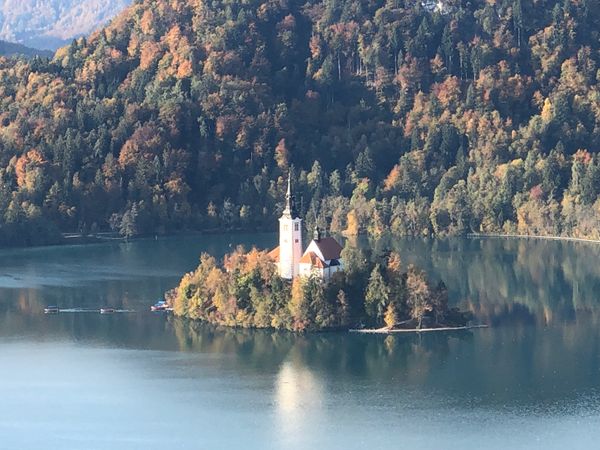 スロベニア・リュブリャナ「スロベニア ブレット湖＆リュブリャナ♡」の写真：ブレッド湖に浮かぶ島が美しい♡名物のクリ...