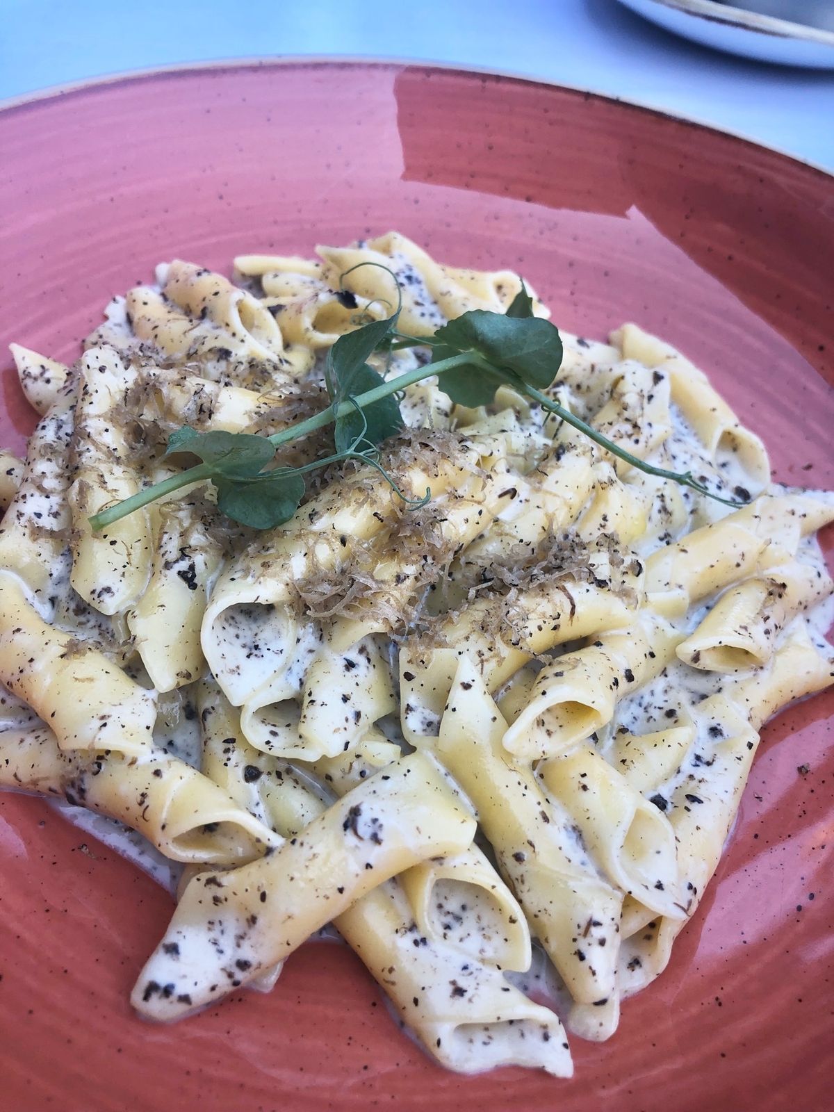 ザグレブはハートとトリュフの街♡