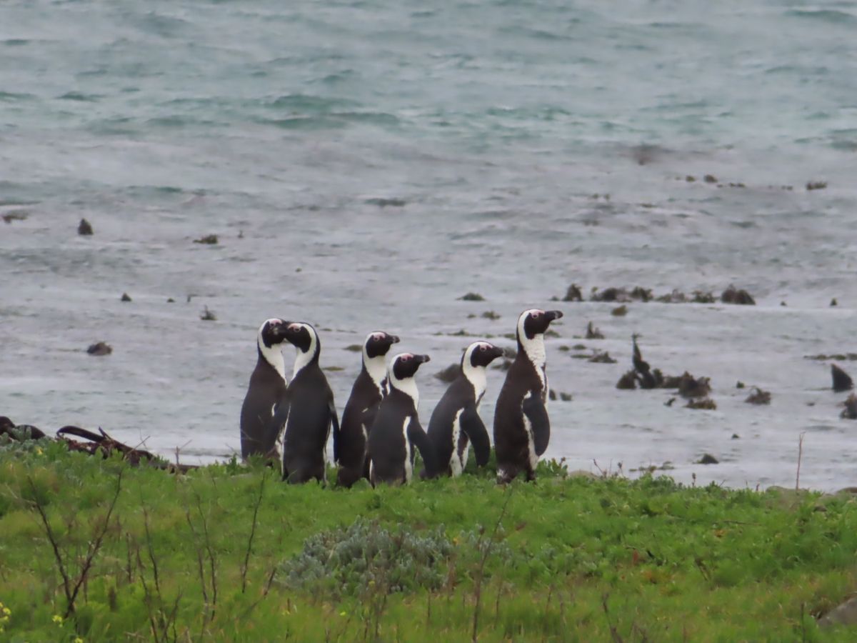 この日は一般人も入れるエリアの海岸沿いをmoult count

漁に向か...