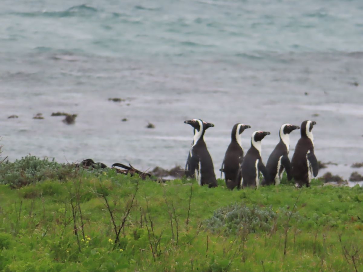 この日は一般人も入れるエリアの海岸沿いをmoult count

漁に向か...