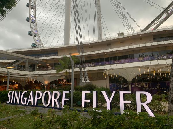 シンガポール「シンガポール」の写真：シンガポールフライヤーは、昨年11月より...