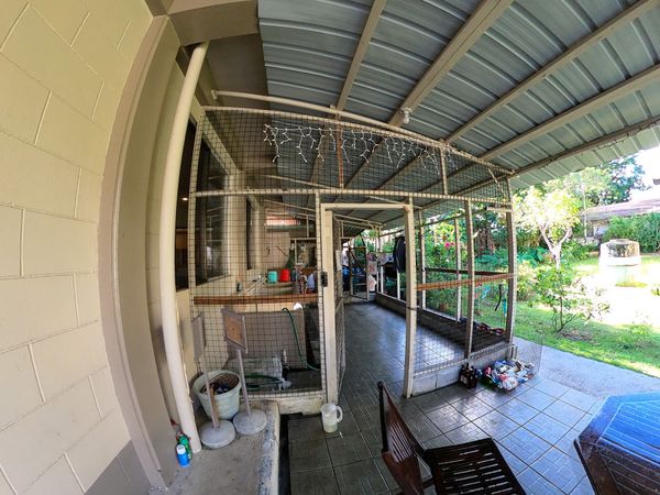 パラオ・コロール「20200131 Palau🇵🇼」の写真