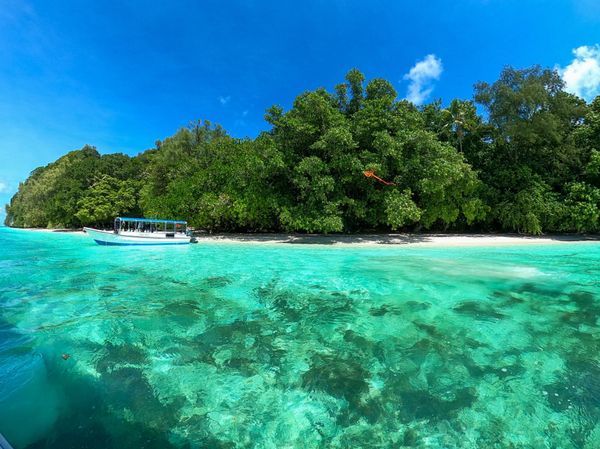パラオ・コロール「20200131 Palau🇵🇼」の写真