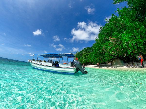 パラオ・コロール「20200131 Palau🇵🇼」の写真