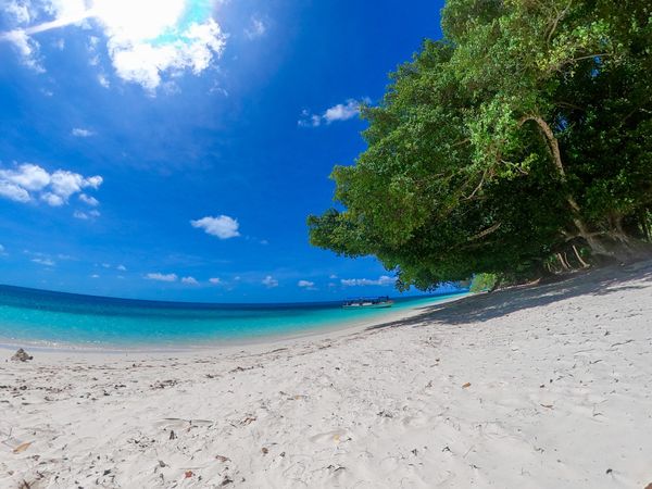 パラオ・コロール「20200131 Palau🇵🇼」の写真