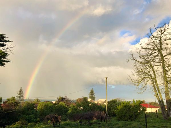 南アフリカ・ケープタウン「ペンギン調査に参加！」の写真：冬のロベン島は雨が多い！
天気がちょこち...