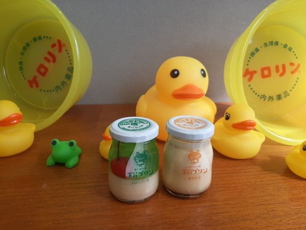 日本・白川郷「冬の岐阜　下呂温泉、高山、白川郷」の写真：かえる多め🐸下呂温泉。プリンが美味しかっ...