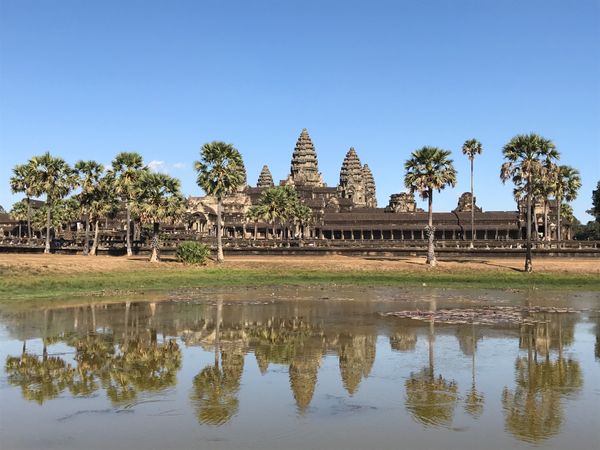 カンボジア「シェムリアップ世界遺産の旅」の写真：暑かった！けど朝日もキレイに見えて、素晴...