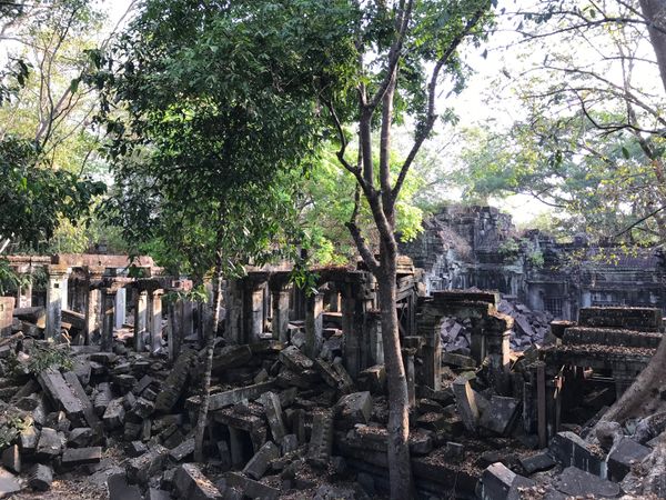 カンボジア「シェムリアップ世界遺産の旅」の写真：ベンメリア、コーケー、プレアヴィヒア3箇...