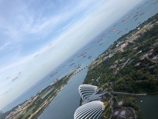 シンガポール・シンガポール「シンガポールリベンジ」の写真