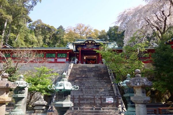 日本・静岡「2018/4 Shizuoka」の写真