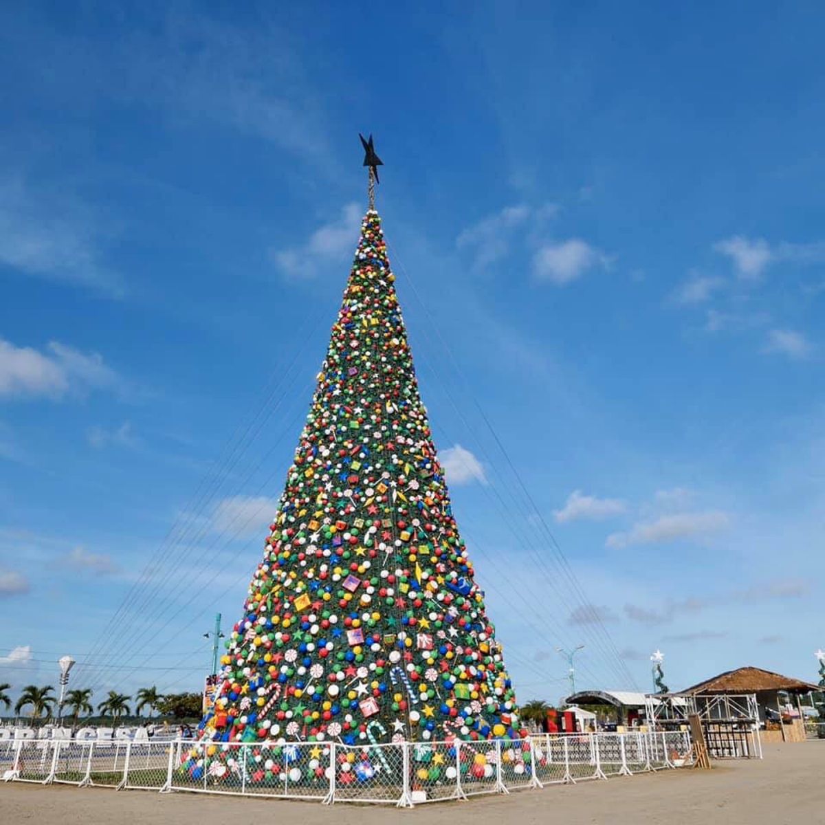 プリエト・プリンセサ。