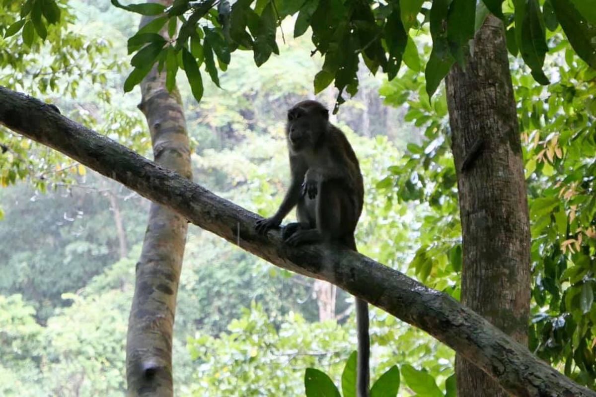デイトリップに参加しつつエルニドへ。
