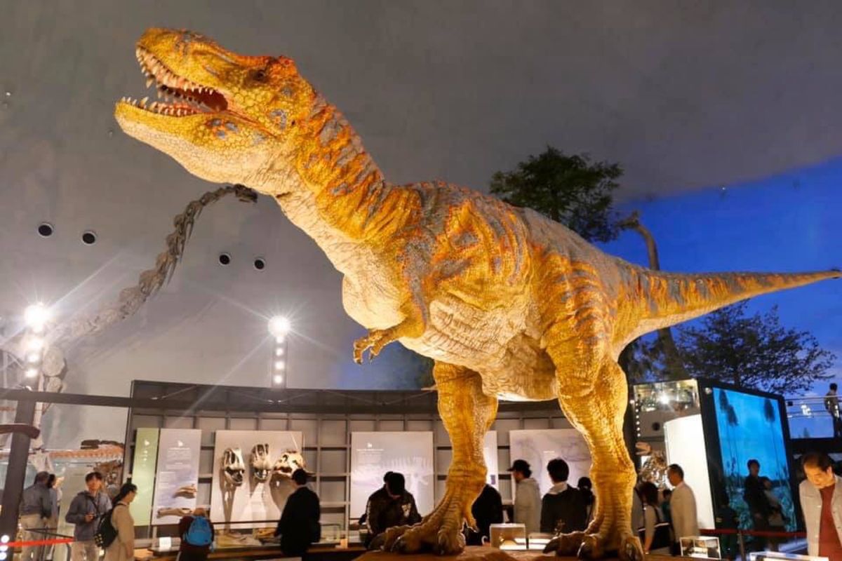 初日は丸岡城〜久保田酒造〜永平寺〜恐竜博物館。