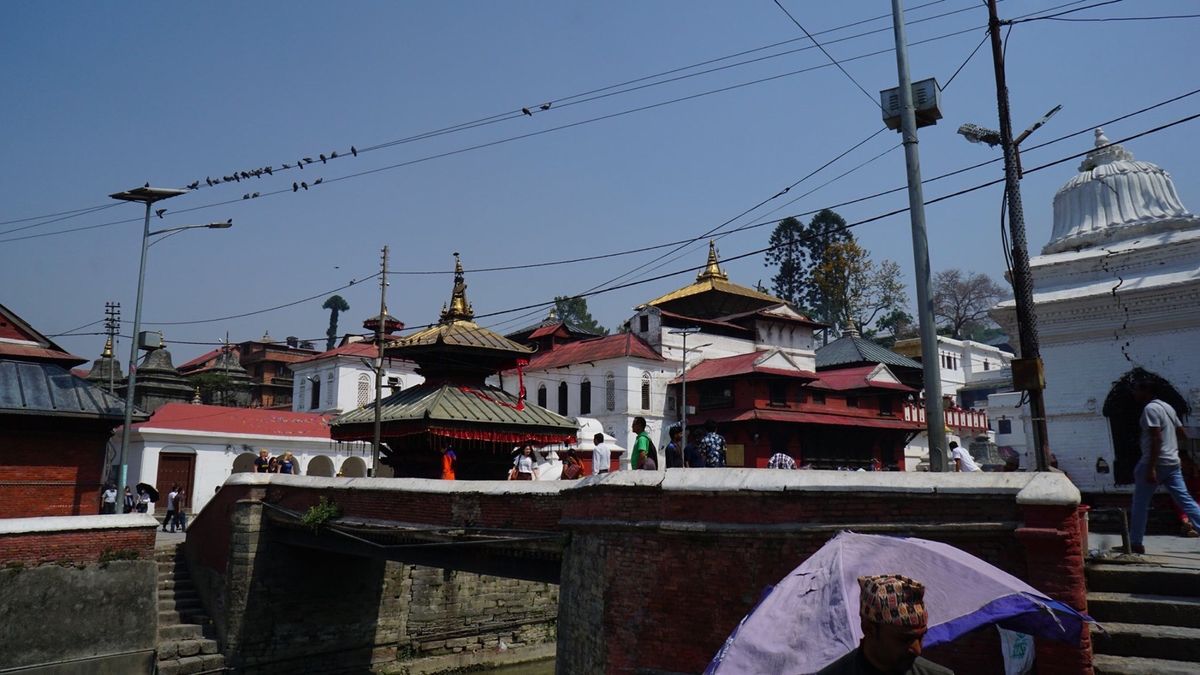 ネパール５日目。
エベレスト遊覧飛行に参加した後、市内散策。