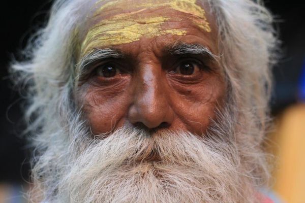 インド「インド」の写真