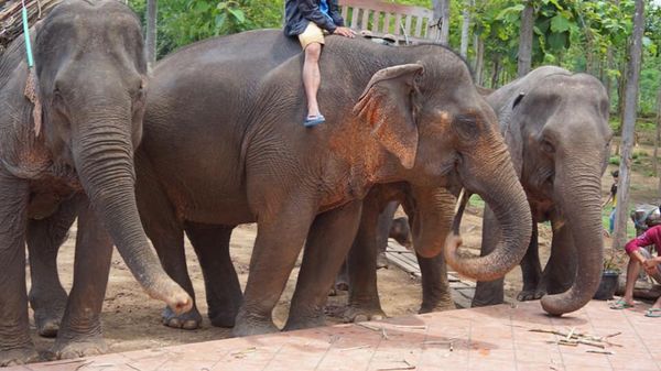 ラオス人民民主共和国・Luang Phabang「2018/4 Laos_Luang Phabang」の写真：ルアンパバン３日目。