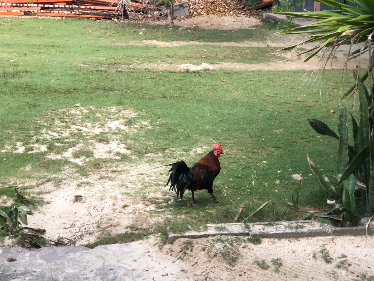 やっぱり、海が綺麗だし楽しかった🏖