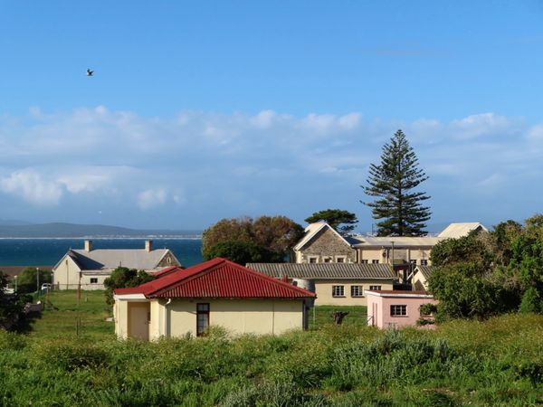 南アフリカ・ケープタウン「ペンギン調査に参加！」の写真：ロベン島の民家の様子🏠
島民の数が減って...