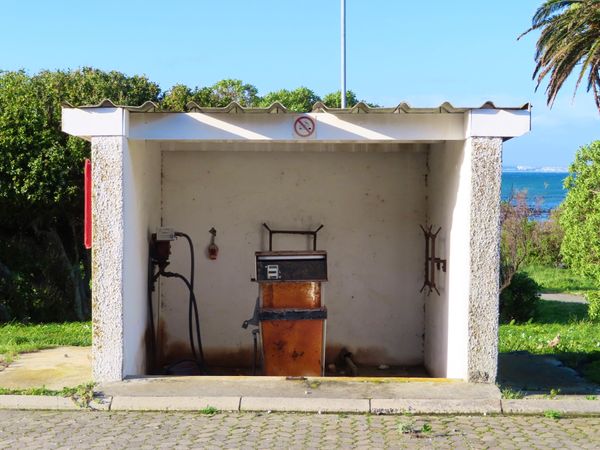 南アフリカ・ケープタウン「ペンギン調査に参加！」の写真：ロベン島の建物色々

島で唯一見かけたガ...