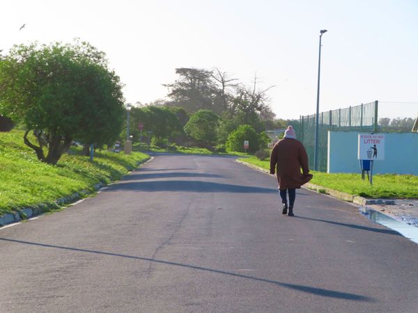 南アフリカ・ケープタウン「ペンギン調査に参加！」の写真：自由時間にロベン島をお散歩してたら
この...