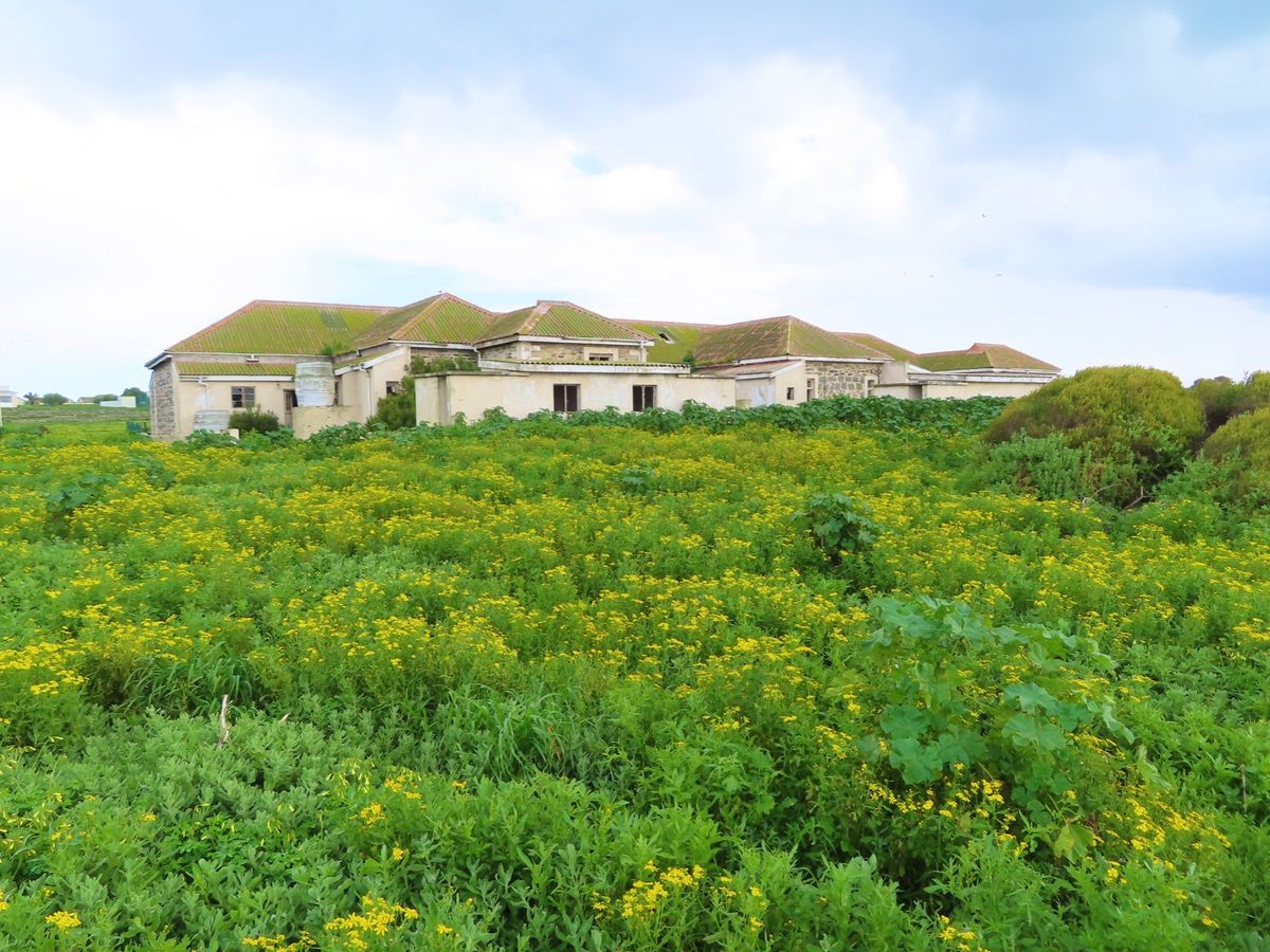 自由時間にロベン島をお散歩してたら
このおばちゃんに突然話しかけられた

...