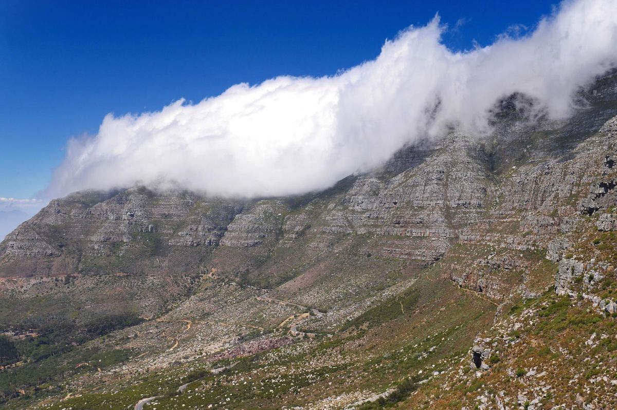 ケープタウンのテーブルマウンテンが綺麗すぎる！
体力と時間ある人は歩いて登...